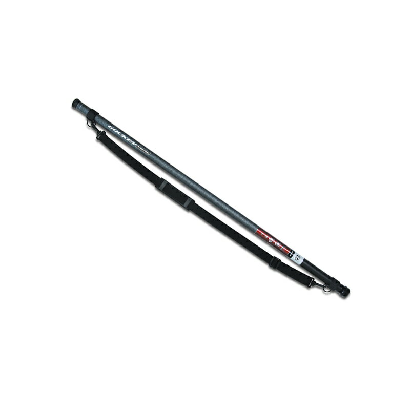 優れた品質 プロックス 玉の柄 磯玉の柄剛剣リミテッド Itgkl60 Www Fsinox Com