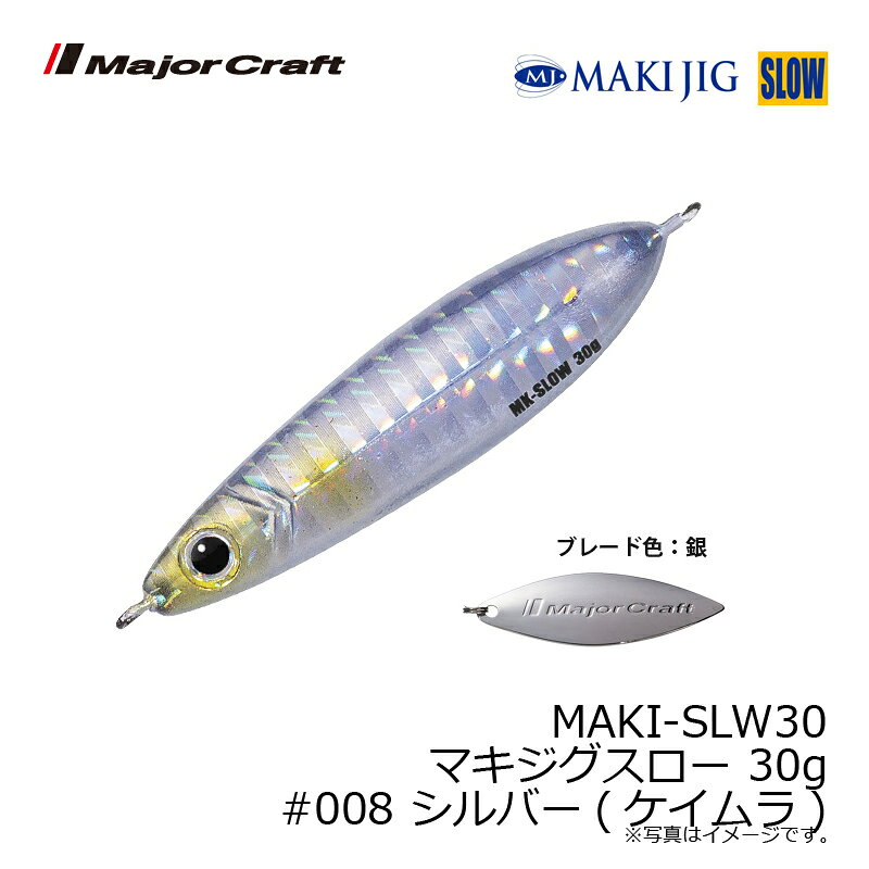 マキジグ スロー 30g シルバー(ケイムラ) の商品画像3枚目