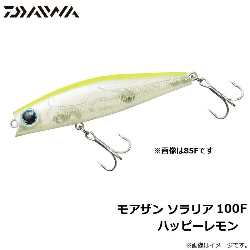 ソラリア100F ダイワ シーバスルアー アデルライトニングイワシ の商品画像3枚目