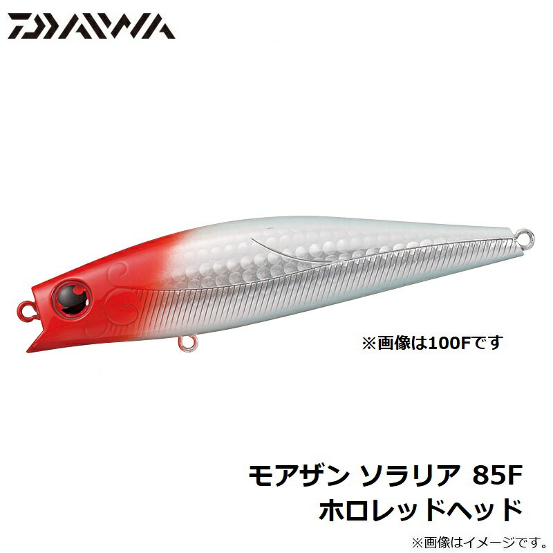 ソラリア85F ホロレッドヘッド (3)