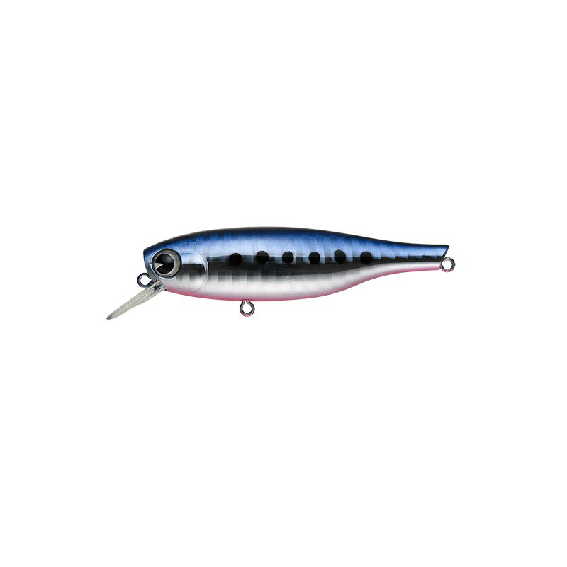 Rakuten - アムズデザイン　B-太 70 #BT70-221 マコイワシ