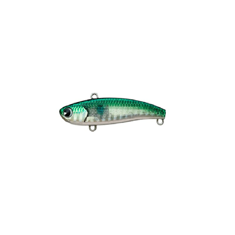 Rakuten - アムズデザイン　コウメ 60 #KU60-120 ゴールドボラ