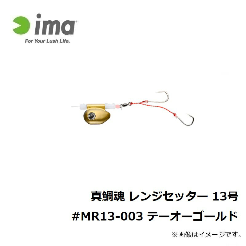 アムズデザイン　真鯛魂 レンジセッター 13号 #MR13-003 テーオーゴールド