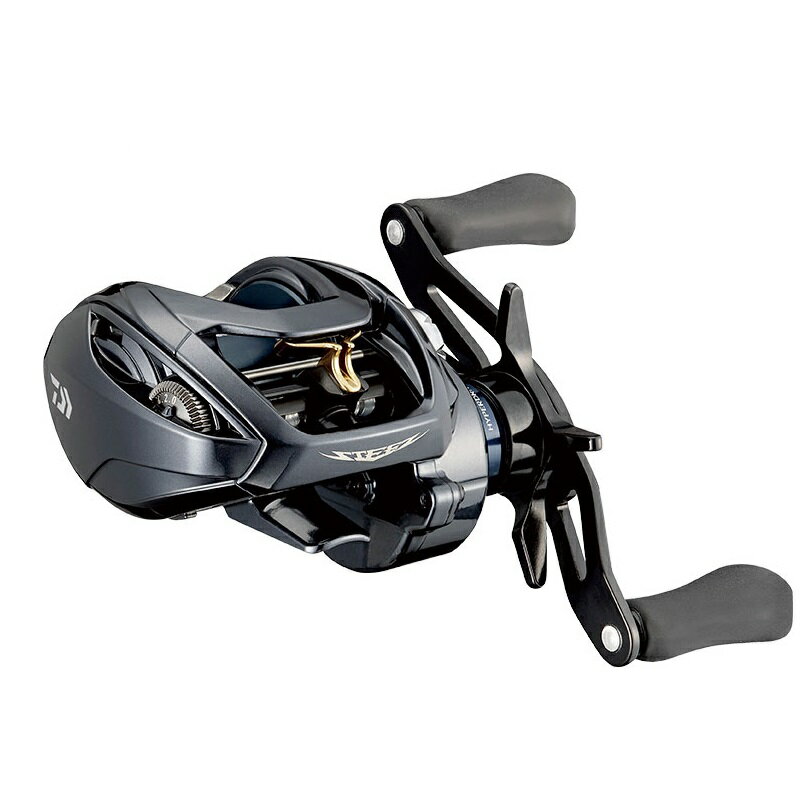 　ダイワ(Daiwa)　21スティーズ A TW HLC 7.1L　/ ベイトリール