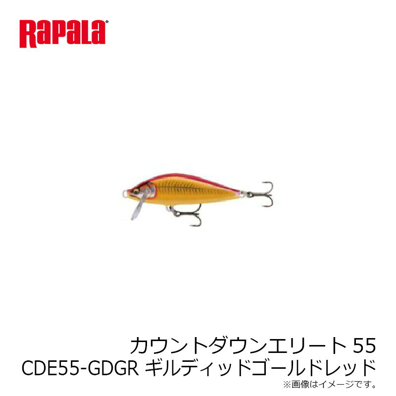 ラパラ　カウントダウンエリート55 CDE55-GDGR ギルディッドゴールドレッド　【釣具　釣り具】 fto-r-10138237 釣具のFTO サンプル画像2