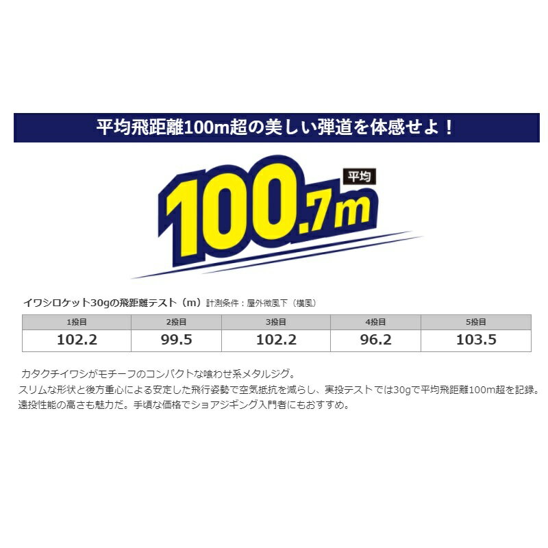 イワシロケット 30g キョウリンゼブラ (2)