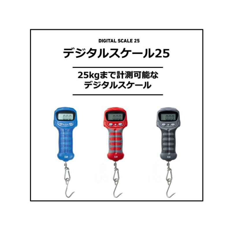 ダイワ(Daiwa)　デジタルスケール25 グレー　【釣具　釣り具】 3