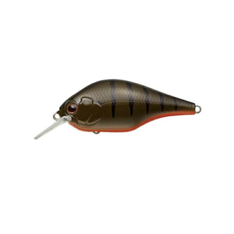 Rakuten - エバーグリーン　ゼルク #284 グリパンギル　【釣具　釣り具】