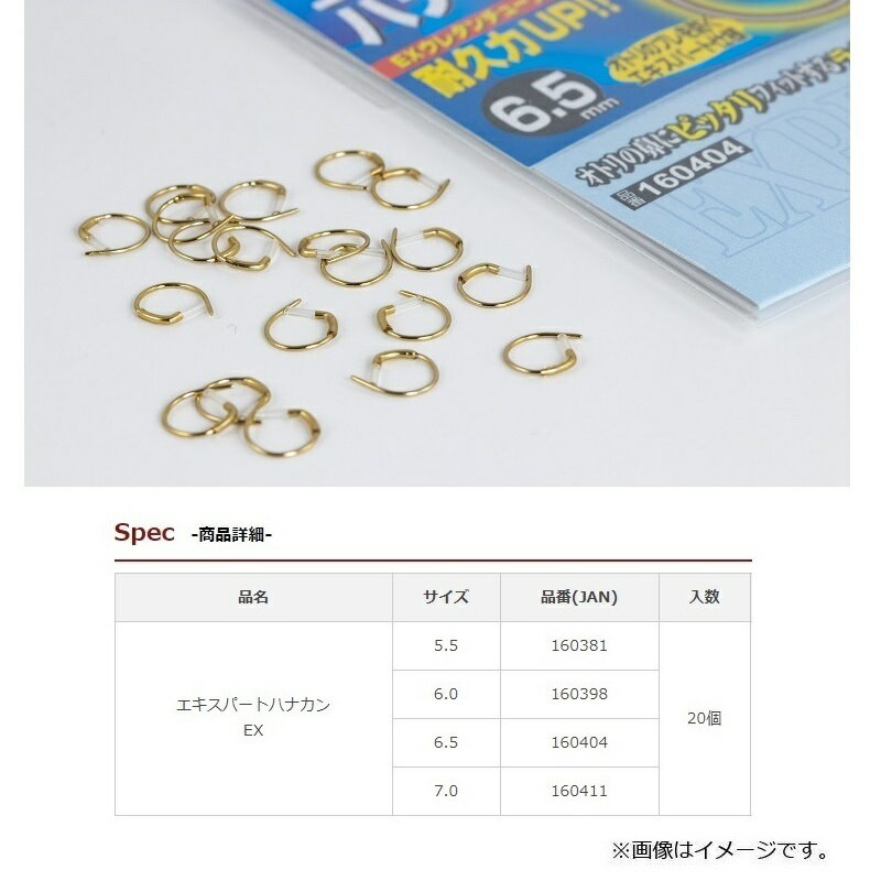 ���ĥ������������ѡ��ȥϥʥ���EX 6.5������������