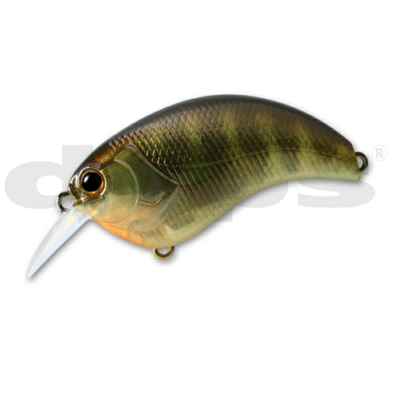 デプス イヴォーク 1.8 #03 野池ギル 【釣具 釣り具】