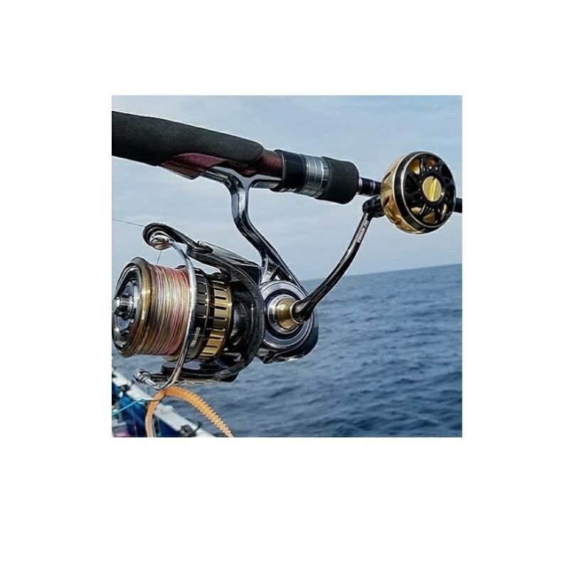 ������(Daiwa)��SLPW ����ߥ饦��ɥΥ� M �֥�å���������������