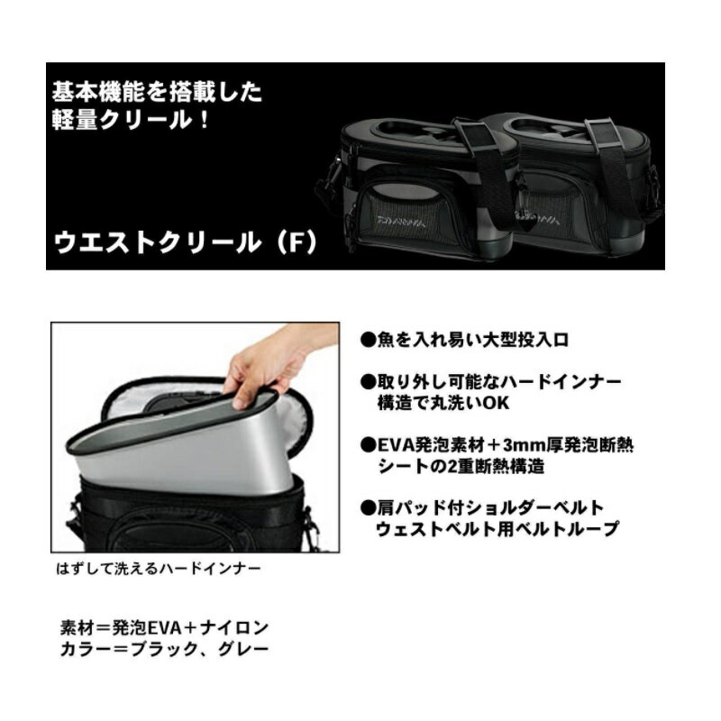 ������(Daiwa)���������ȥ��꡼�� 50(F) �֥�å���������������