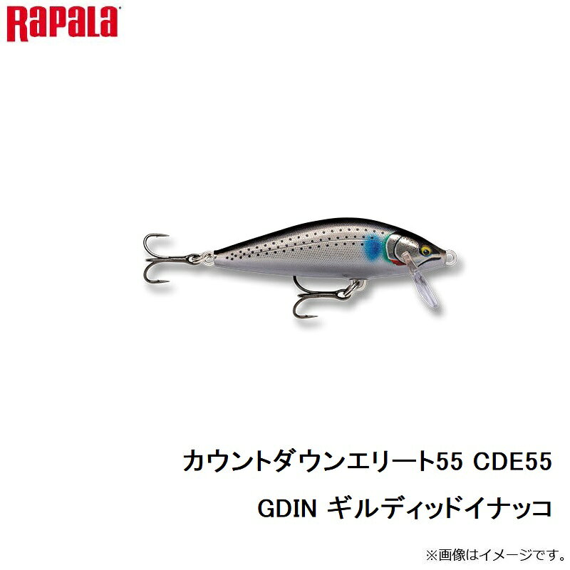ラパラ　カウントダウンエリート55 CDE55-GDIN ギルディッドイナッコ　【釣具　釣り具】 fto-r-10153874 釣具のFTO サンプル画像2