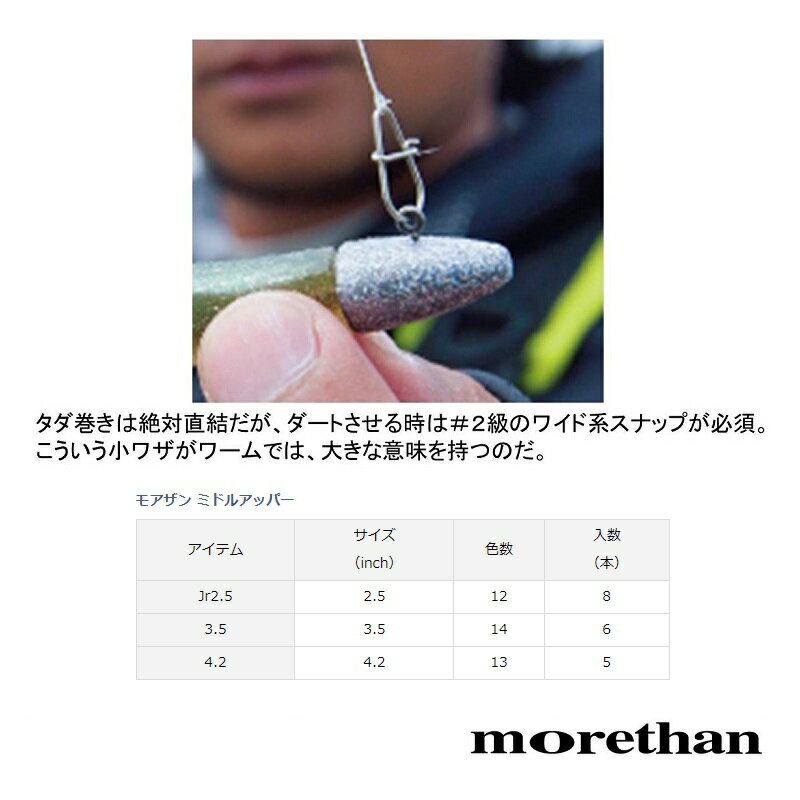 ダイワ モアザン ミドルアッパー 4.2インチ...の紹介画像3