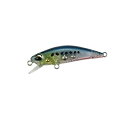 デュオ テトラワークス トト 42S CCC0475 LG透けイワシ