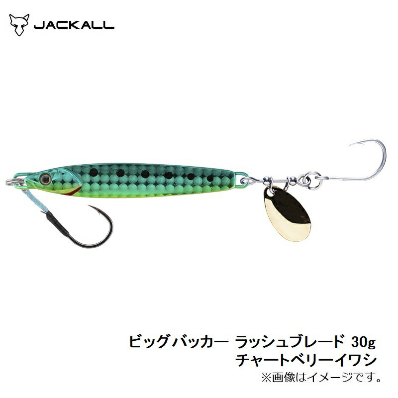 ビッグバッカー ラッシュブレード 30g チャートベリーイワシ (3)