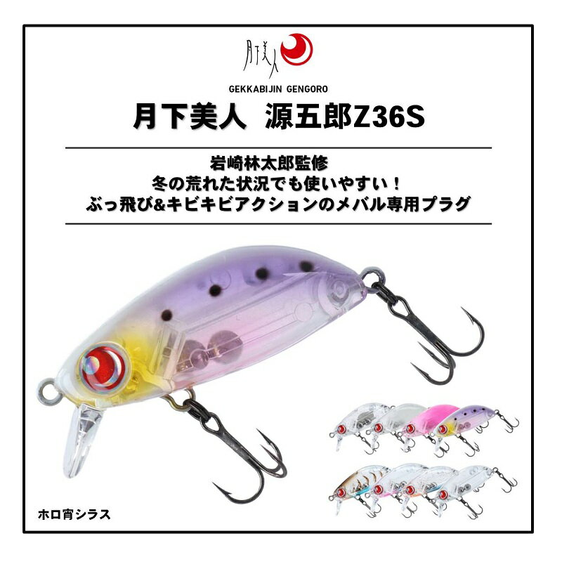 月下美人 源五郎Z36S ホロ宵シラス (2)