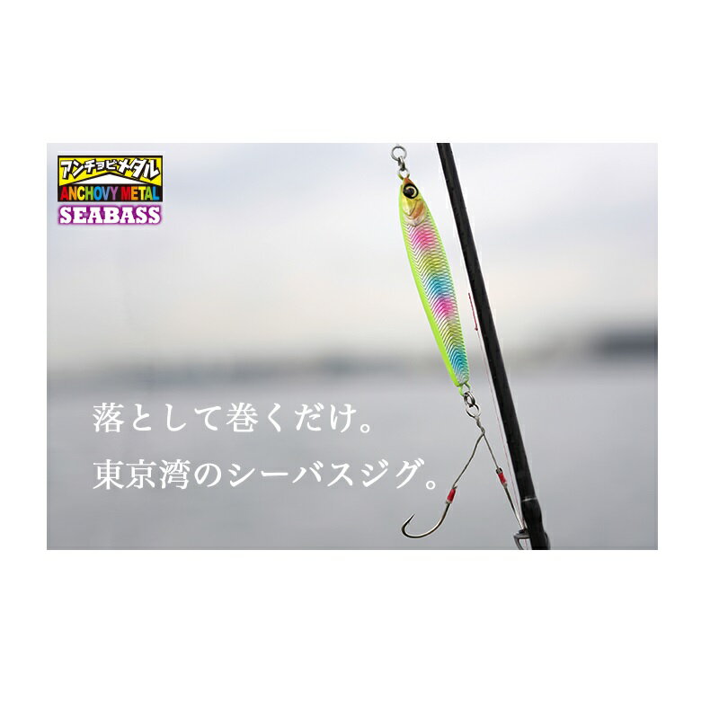 シーバスアンチョビメタル 60g アカキンイワシ (2)