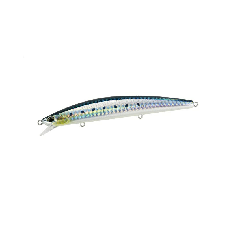 マイワシおすすめ釣具
