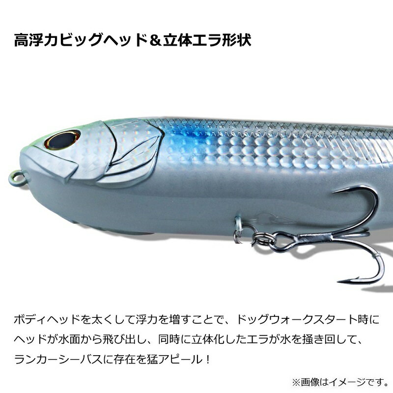 モアザン モンスタースライダー160F マットライムチャート (3)