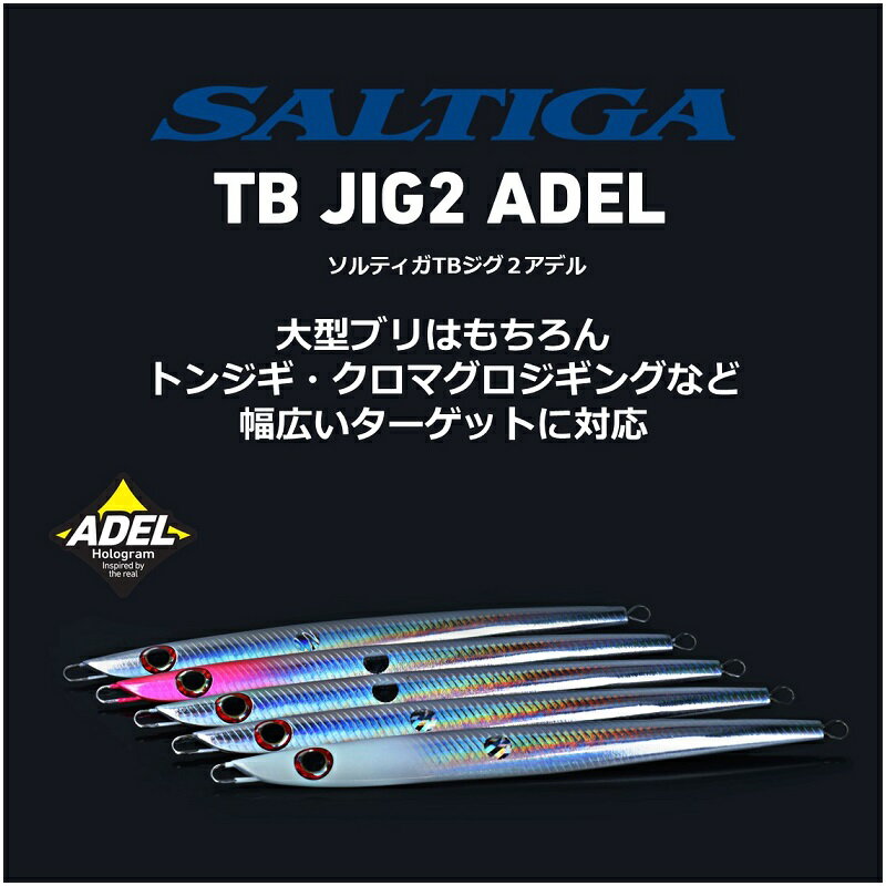 ソルティガTBジグ2アデル 260g ソルティガTBジグ2アデル 260g アデルミラーフルシルバー (3)