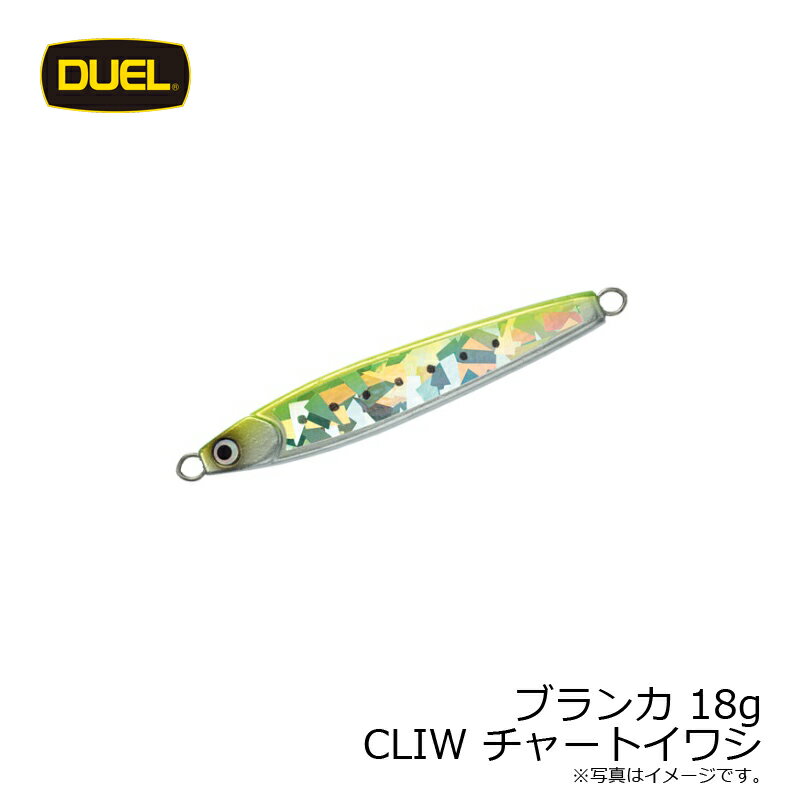 ブランカ(ジグ) 18g チャートイワシ (3)
