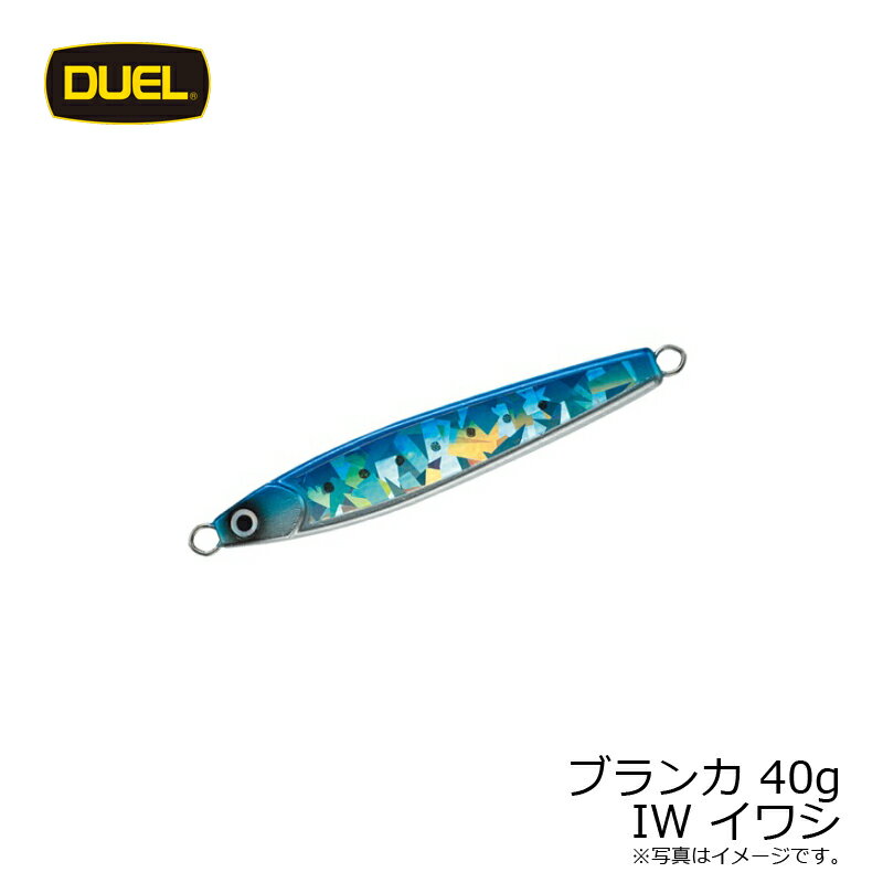 ブランカ(ジグ) 40g イワシ (3)