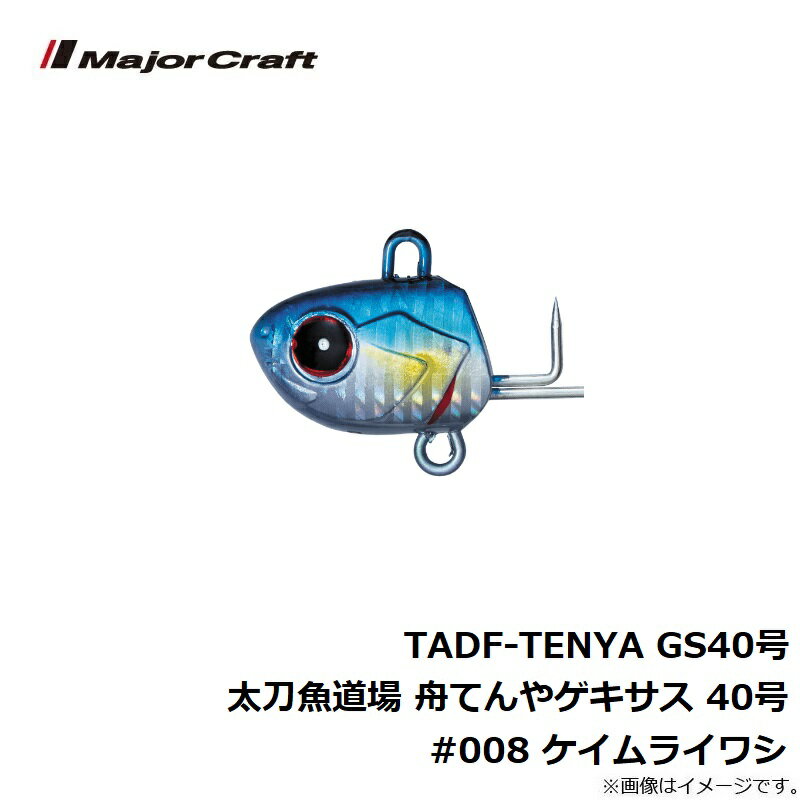 �᥸�㡼����եȡ�TADF-TENYA GS40�� �����ƻ�� ���Ƥ�䥲������ 40�� #008 ������饤�亮������������