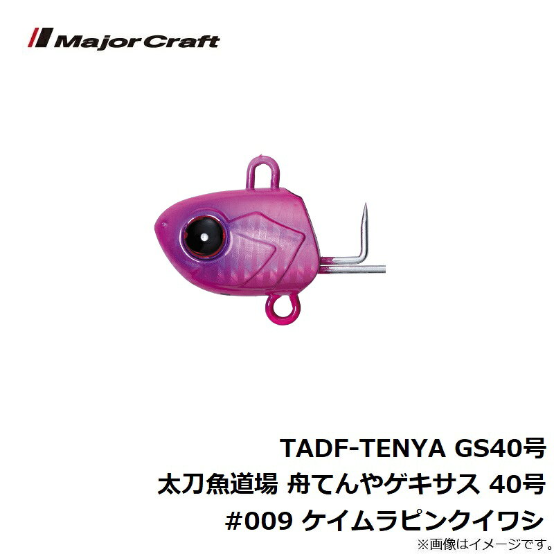 �᥸�㡼����եȡ�TADF-TENYA GS40�� �����ƻ�� ���Ƥ�䥲������ 40�� #009 �������ԥ󥯥��亮������������
