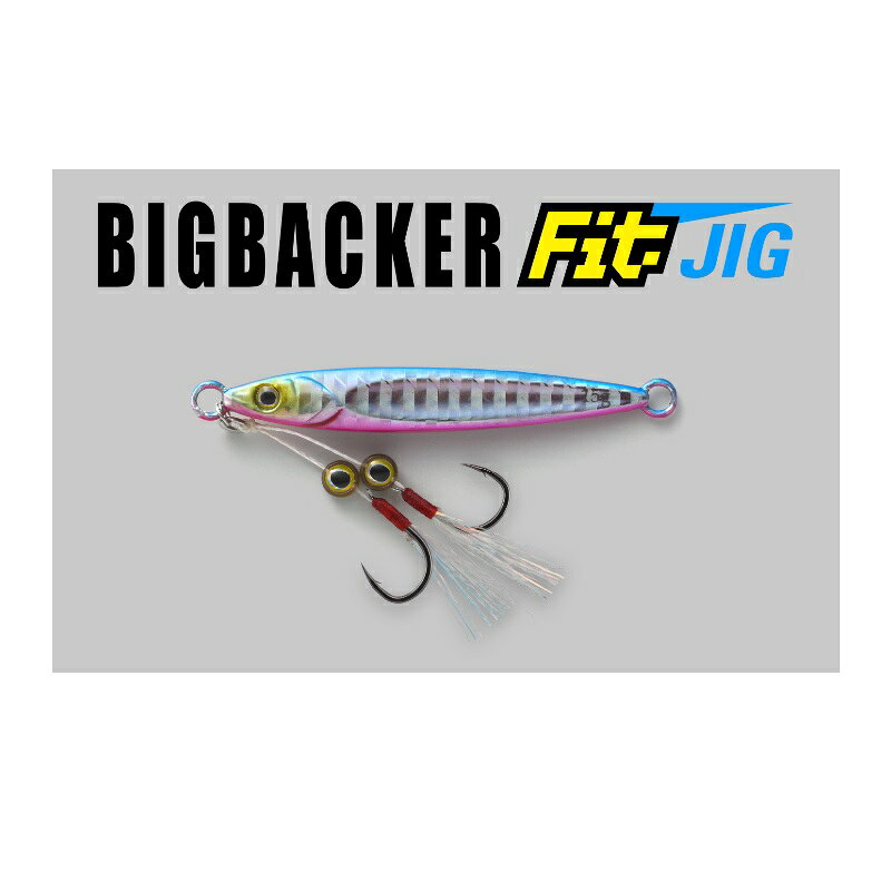ビッグバッカー フィット ジグ 15g ビンクバック/ボーダーホロ の商品画像2枚目