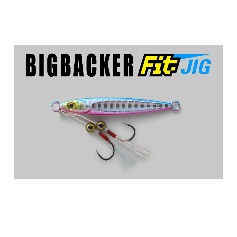 ビッグバッカー フィット ジグ 15g シラスシルバー/マグマウェーブホロ (2)