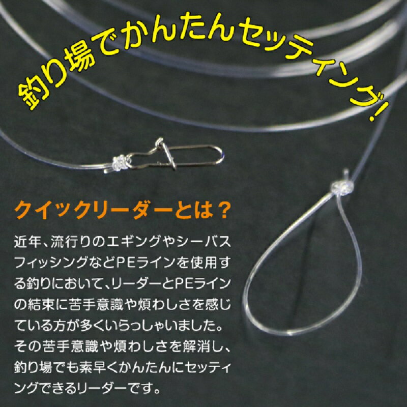 デュエル クイックリーダー 1.5号 H2532の紹介画像2