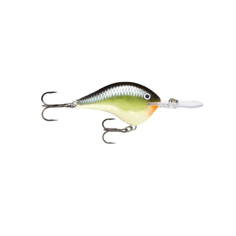 Crank Bait - ラパラジャパン　DT6-SMSH DT6 DIVES-TO ダイブストゥ 5cm スマッシュ　【釣具　釣り具】
