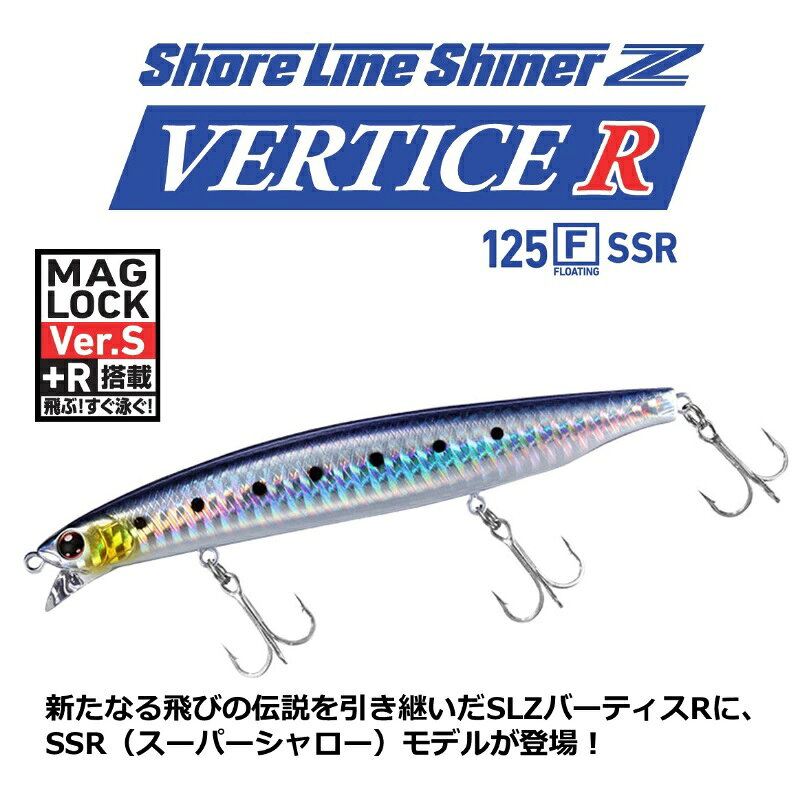 ショアラインシャイナーZバーティスR125F-SSR マットチャートイワシ の商品画像2枚目