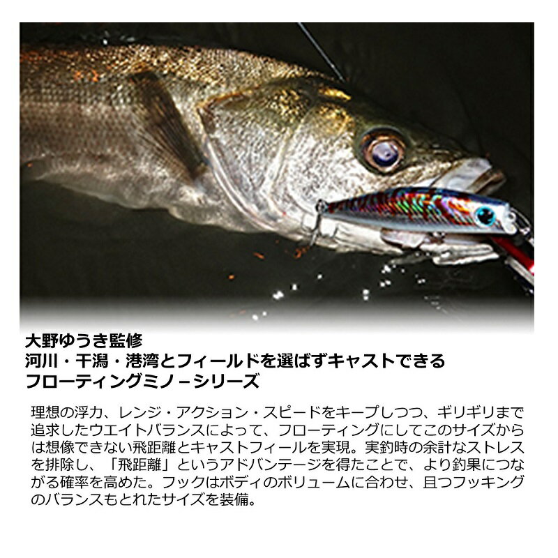 モアザン ソラリア70F アデルトロピカルフラッシュ (3)