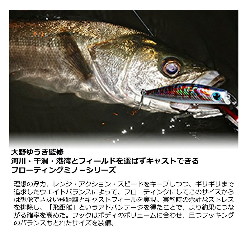 モアザン ソラリア70F ダイワ ソラリア 70F アデルナイトコノシロ の商品画像3枚目