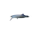タックルハウス フリッツ 24g #13 マグロ 【釣具 釣り具】