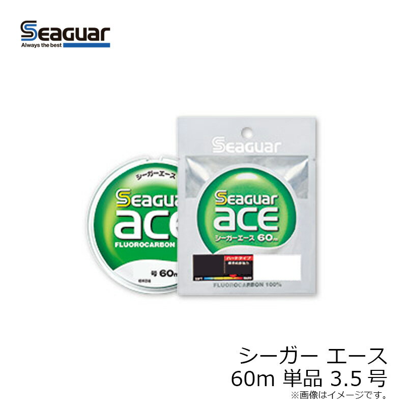 クレハ シーガーエース 60m 単品 3.5号の紹介画像3