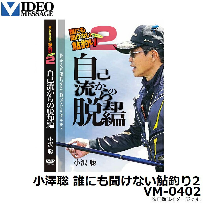 ビデオメッセージ 小沢聡 誰にも聞けない鮎釣り...の紹介画像2