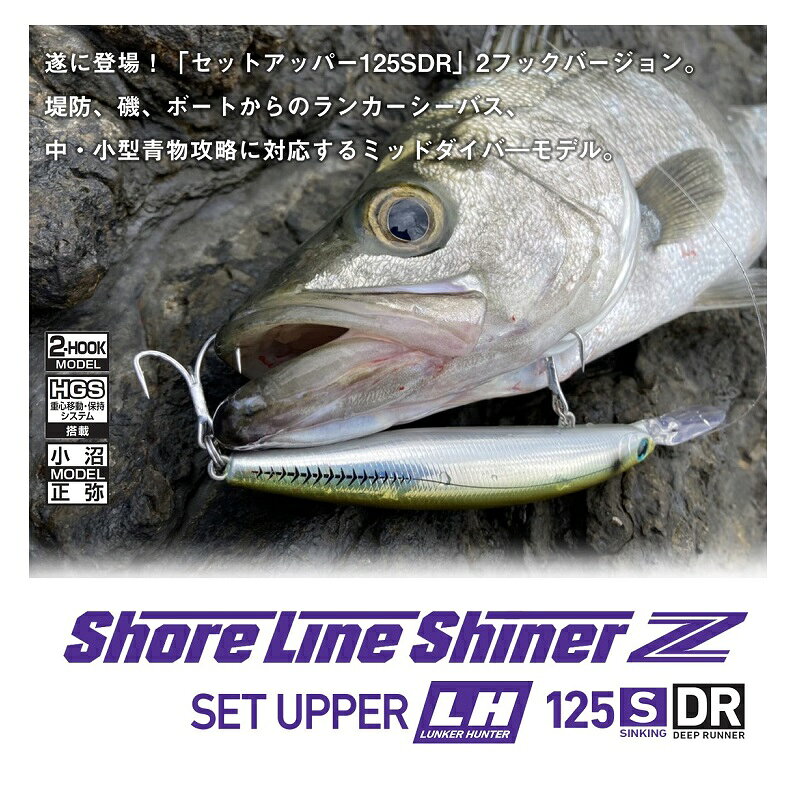ショアラインシャイナーZセットアッパーLH125SDR アデルマイワシ の商品画像2枚目