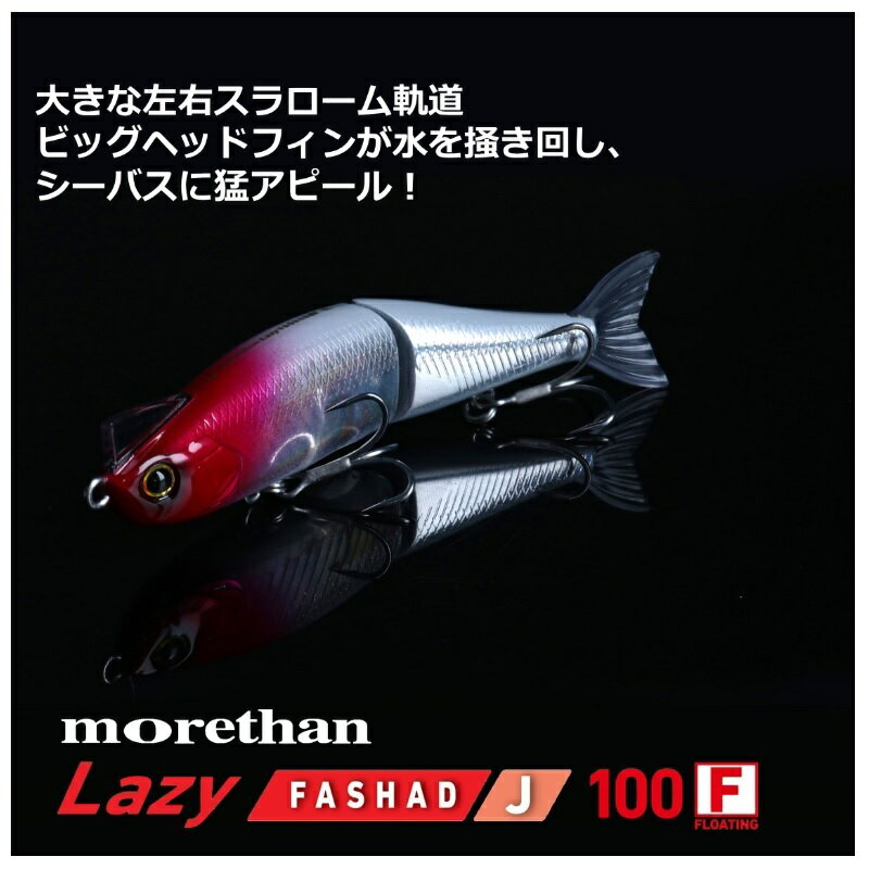 ダイワ(Daiwa) モアザンレイジーファシャ...の紹介画像2