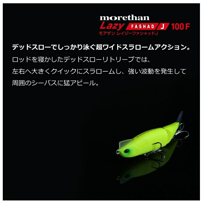 ダイワ(Daiwa) モアザンレイジーファシャ...の紹介画像3