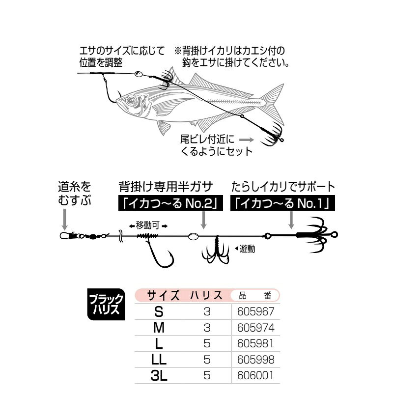 カツイチ　IS-21 イカ一番 ベーシックスタイル LL　【釣具　釣り具】 fto-r-10198707 釣具のFTO サンプル画像2