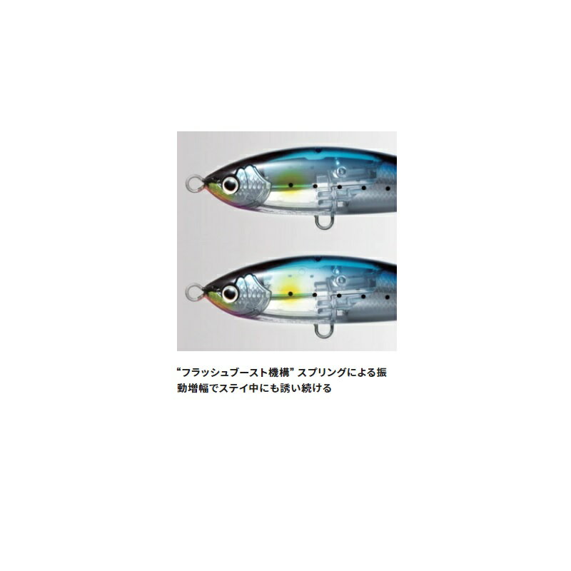 ヘッドディップ 140F フラッシュブースト Tイワシ (3)