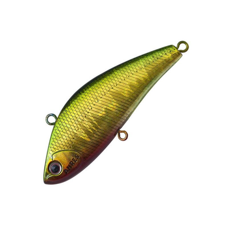 パームス VR-50 ヴィブロッシ50 MG-39 グリーンバックレッドベリー