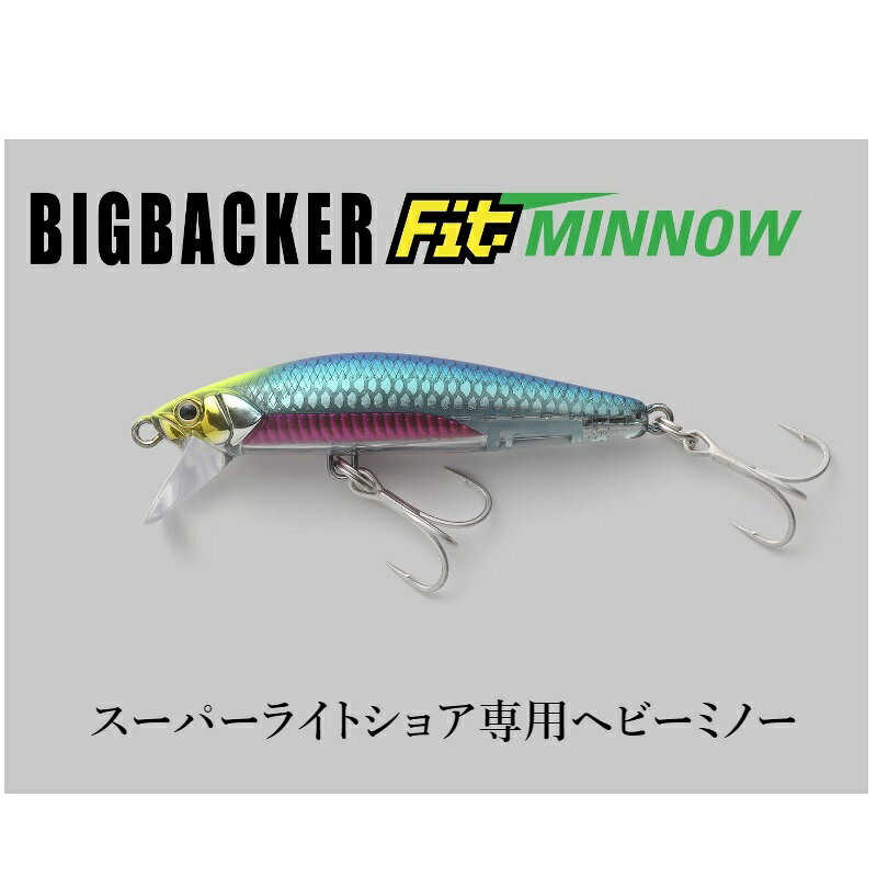 ビッグバッカー フィット ミノー 60mm 超サゴシキャンディー の商品画像2枚目