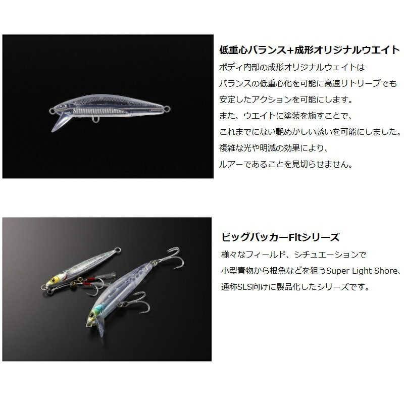 ビッグバッカー フィット ミノー 70mm 生シラス (3)