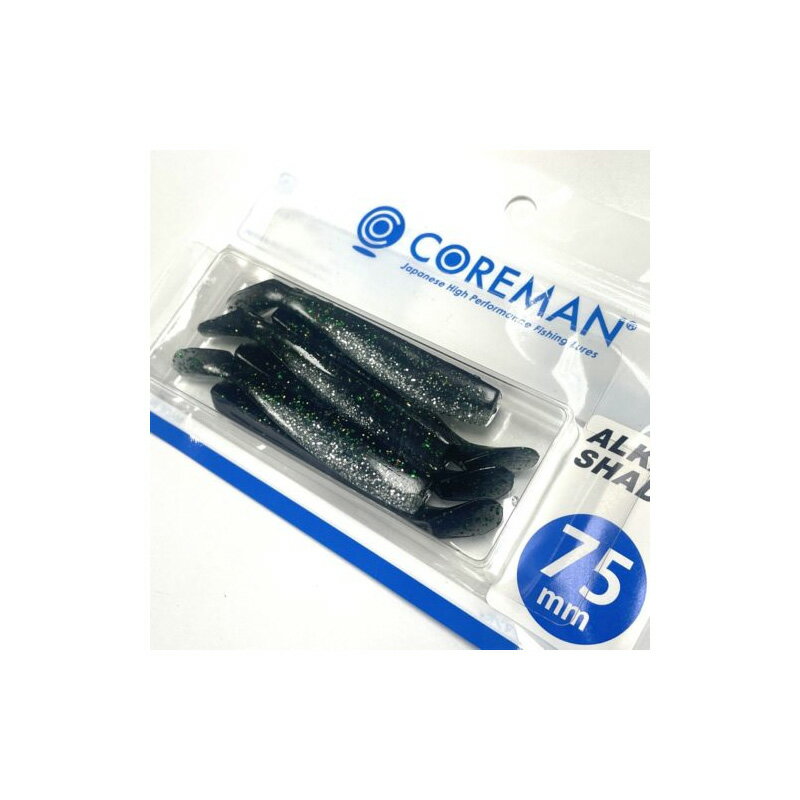 カタクチイワシおすすめ釣具