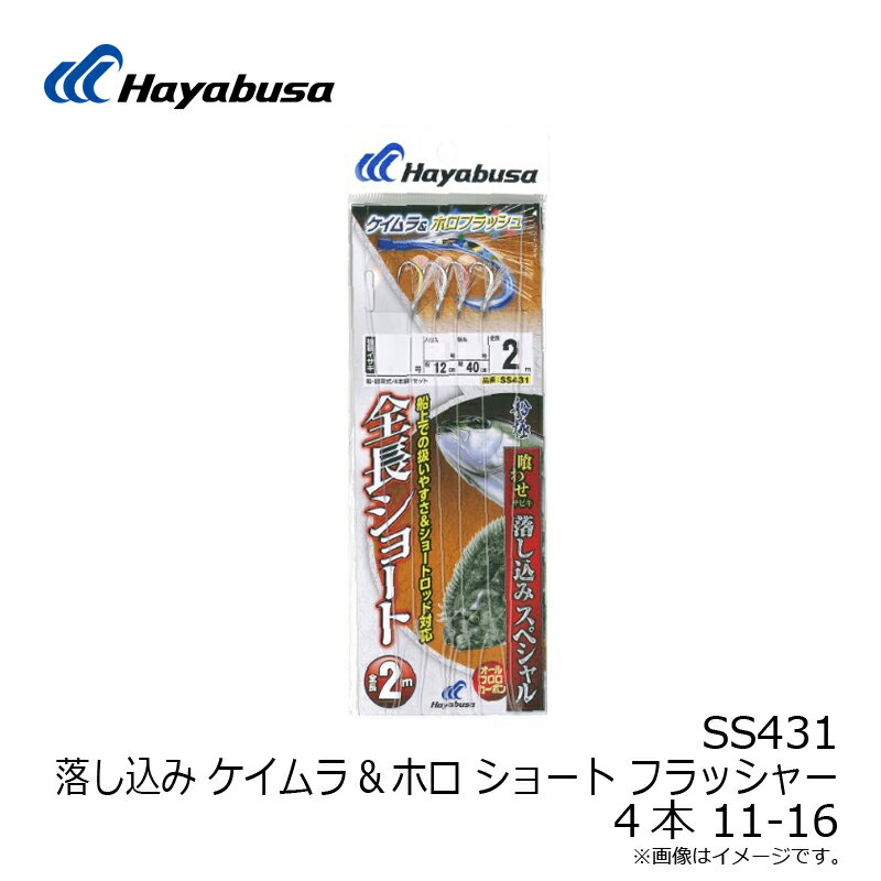 ハヤブサ SS431 落し込み ショート フラ...の紹介画像3