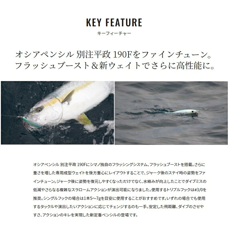 別注平政 190F フラッシュブースト Nホワイト の商品画像3枚目